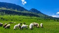 Lovely countryside in Piatra Craiului National Park, near ZÃÆrneÃâ¢ti, BraÃâ¢ov, Romania